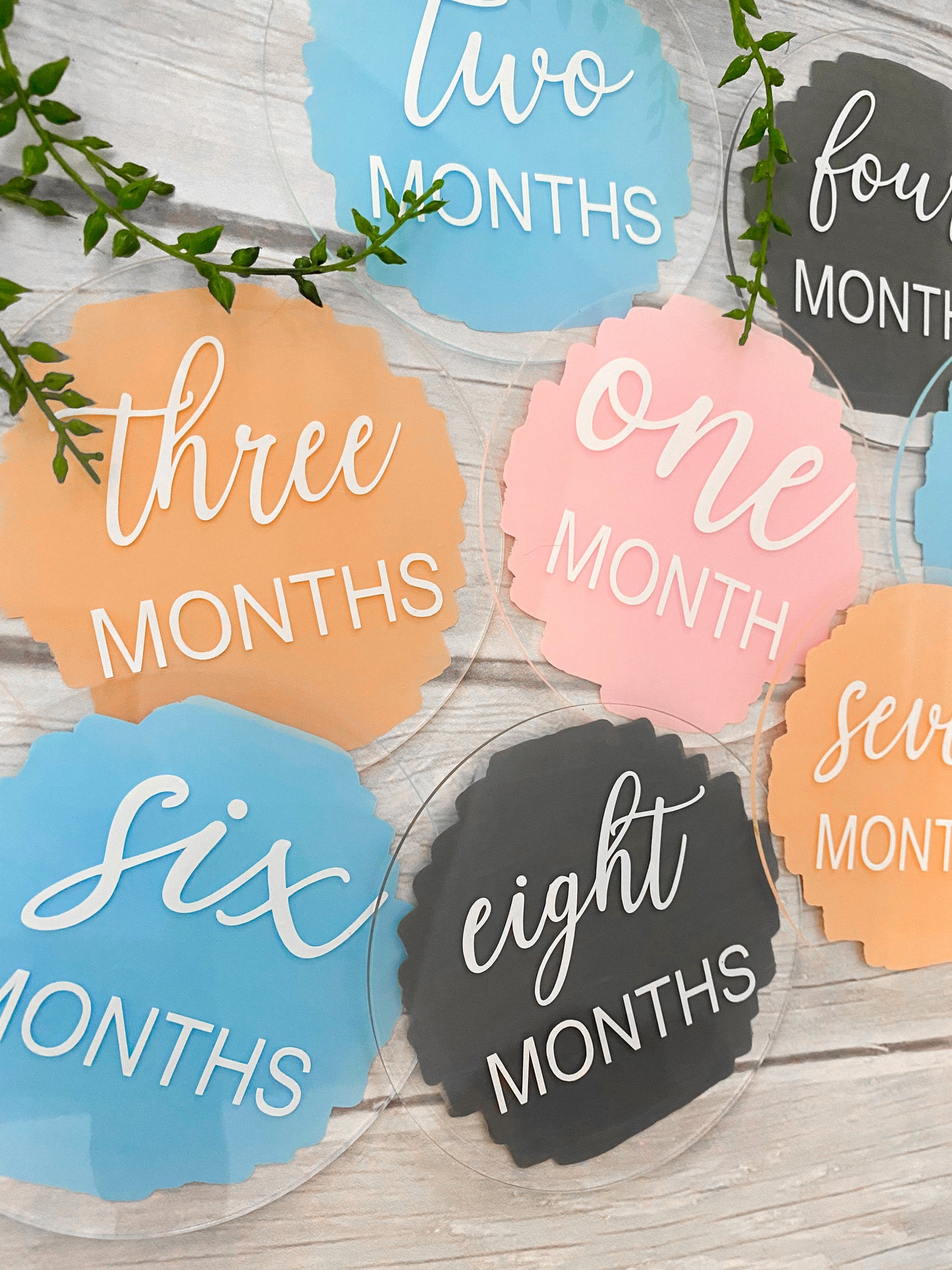 Acrylic Baby Monthly Milestone Discs, 12 Month Set + "hello world"
