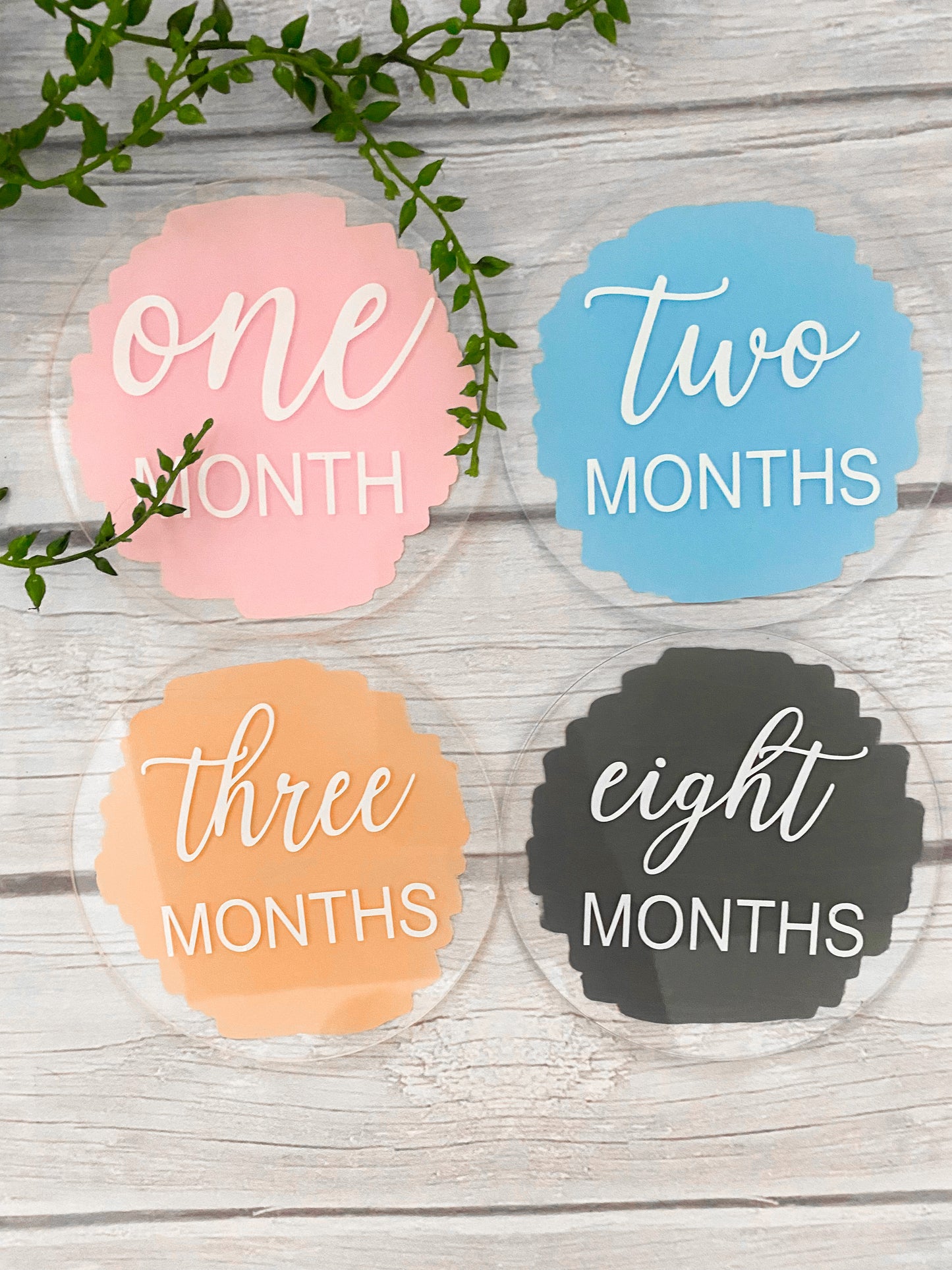 Acrylic Baby Monthly Milestone Discs, 12 Month Set + "hello world"